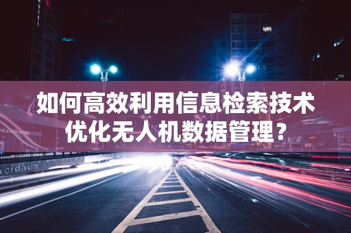 如何高效利用信息检索技术优化无人机数据管理？