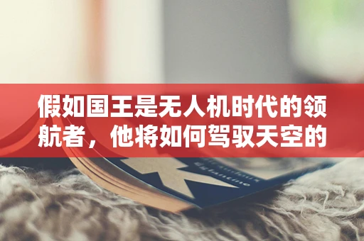 假如国王是无人机时代的领航者，他将如何驾驭天空的智慧？