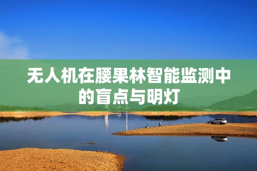无人机在腰果林智能监测中的盲点与明灯