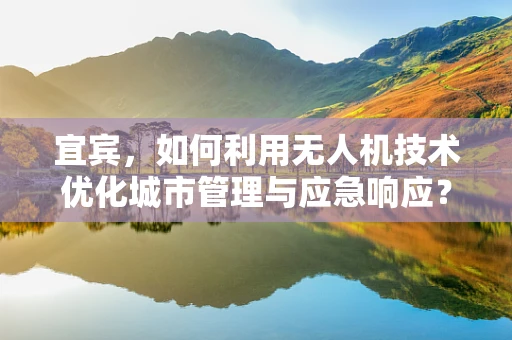 宜宾，如何利用无人机技术优化城市管理与应急响应？