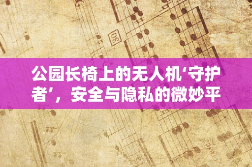 公园长椅上的无人机‘守护者’，安全与隐私的微妙平衡