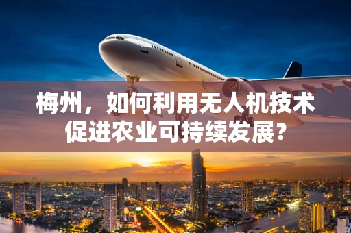 梅州，如何利用无人机技术促进农业可持续发展？