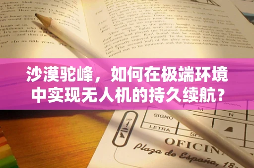 沙漠驼峰，如何在极端环境中实现无人机的持久续航？