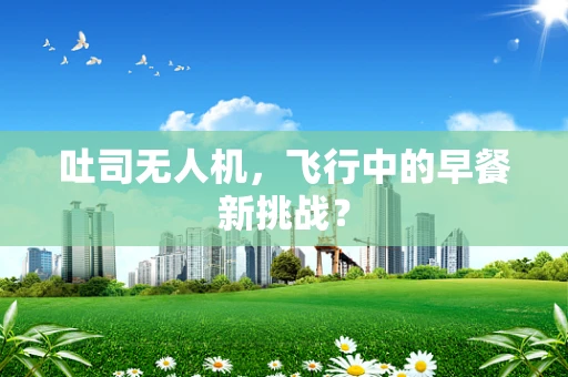 吐司无人机，飞行中的早餐新挑战？