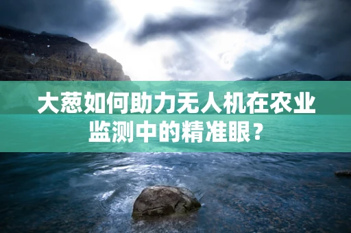 大葱如何助力无人机在农业监测中的精准眼？