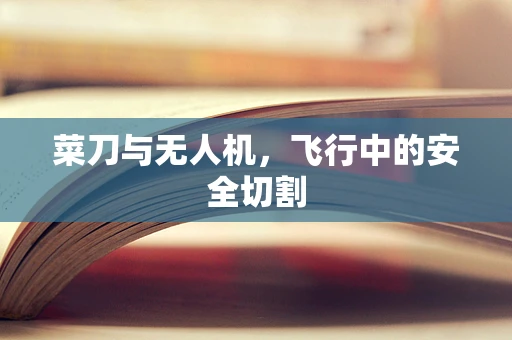 菜刀与无人机，飞行中的安全切割