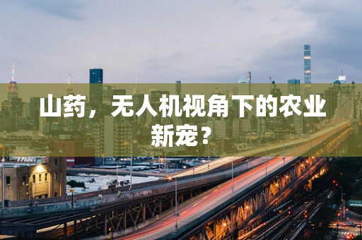 山药，无人机视角下的农业新宠？