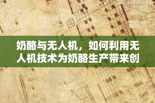 奶酪与无人机，如何利用无人机技术为奶酪生产带来创新？
