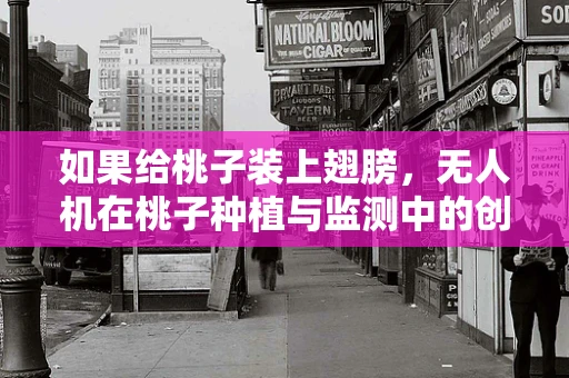 如果给桃子装上翅膀，无人机在桃子种植与监测中的创新应用？