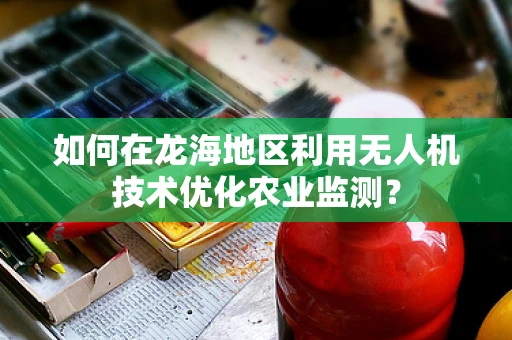 如何在龙海地区利用无人机技术优化农业监测？
