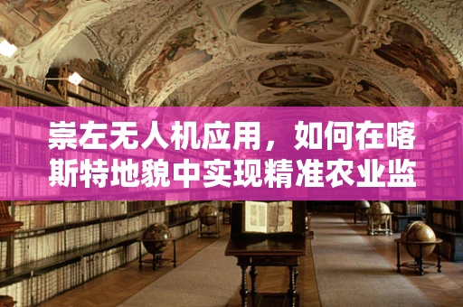 崇左无人机应用，如何在喀斯特地貌中实现精准农业监测？