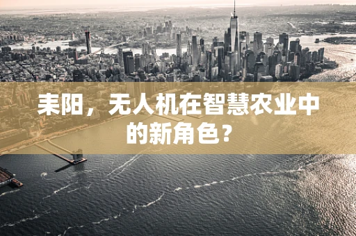 耒阳，无人机在智慧农业中的新角色？
