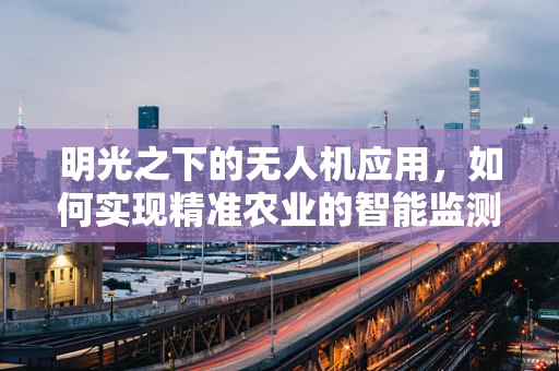 明光之下的无人机应用，如何实现精准农业的智能监测？