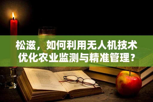 松滋，如何利用无人机技术优化农业监测与精准管理？