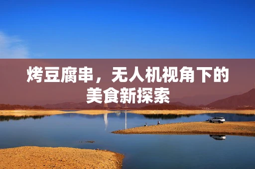烤豆腐串，无人机视角下的美食新探索
