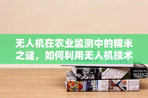 无人机在农业监测中的糯米之谜，如何利用无人机技术精准施肥？