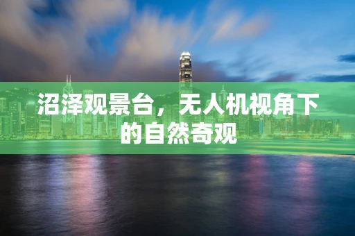 沼泽观景台，无人机视角下的自然奇观