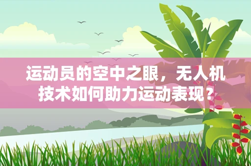 运动员的空中之眼，无人机技术如何助力运动表现？