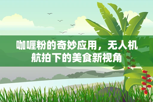 咖喱粉的奇妙应用，无人机航拍下的美食新视角