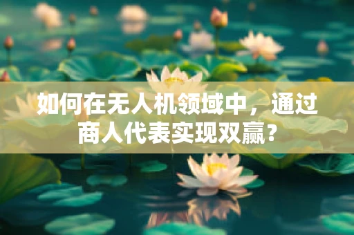 如何在无人机领域中，通过商人代表实现双赢？
