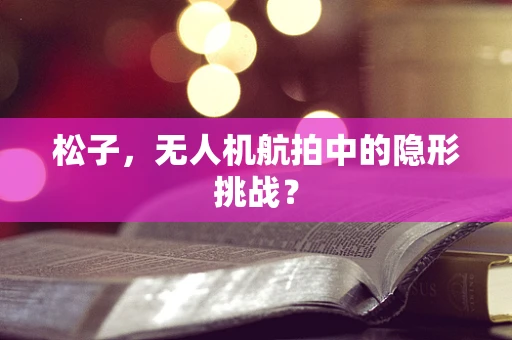 松子，无人机航拍中的隐形挑战？