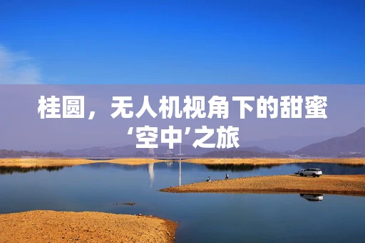 桂圆，无人机视角下的甜蜜‘空中’之旅