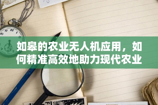如皋的农业无人机应用，如何精准高效地助力现代农业？