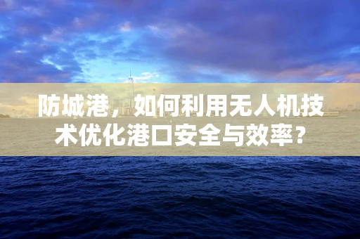 防城港，如何利用无人机技术优化港口安全与效率？