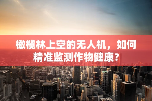 橄榄林上空的无人机，如何精准监测作物健康？