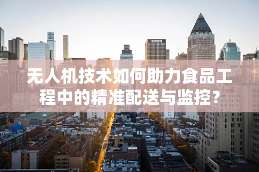 无人机技术如何助力食品工程中的精准配送与监控？