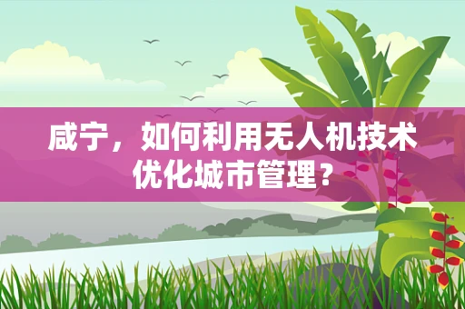 咸宁，如何利用无人机技术优化城市管理？