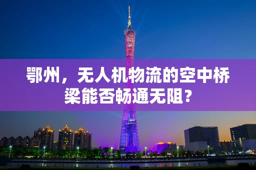 鄂州，无人机物流的空中桥梁能否畅通无阻？