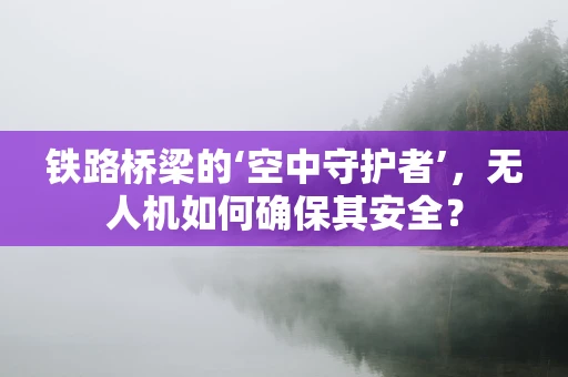 铁路桥梁的‘空中守护者’，无人机如何确保其安全？