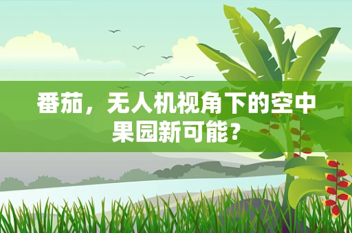 番茄，无人机视角下的空中果园新可能？