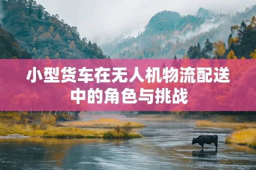 小型货车在无人机物流配送中的角色与挑战