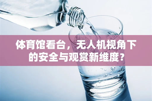 体育馆看台，无人机视角下的安全与观赏新维度？