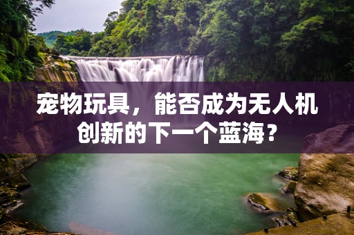 宠物玩具，能否成为无人机创新的下一个蓝海？