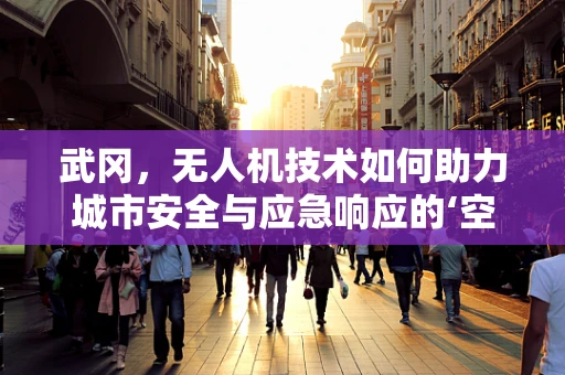 武冈，无人机技术如何助力城市安全与应急响应的‘空中之眼’？