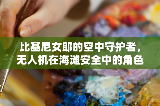 比基尼女郎的空中守护者，无人机在海滩安全中的角色？