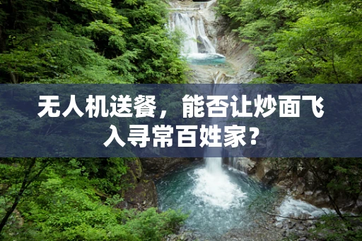 无人机送餐，能否让炒面飞入寻常百姓家？