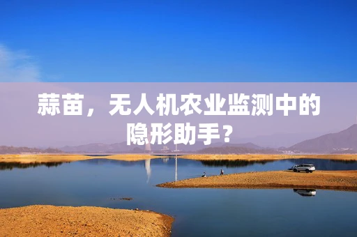 蒜苗，无人机农业监测中的隐形助手？