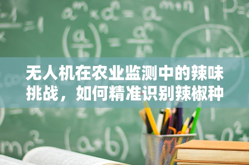 无人机在农业监测中的辣味挑战，如何精准识别辣椒种植区？