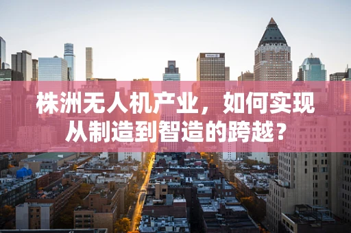 株洲无人机产业，如何实现从制造到智造的跨越？