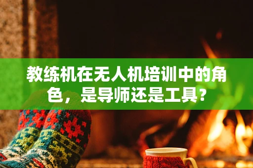 教练机在无人机培训中的角色，是导师还是工具？