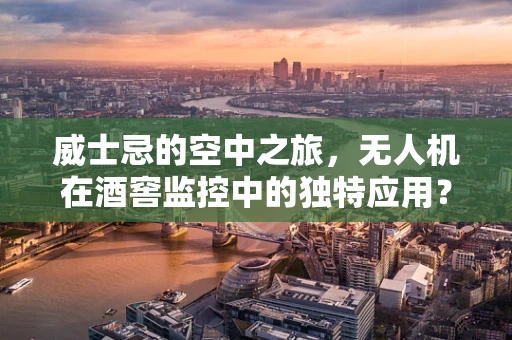威士忌的空中之旅，无人机在酒窖监控中的独特应用？