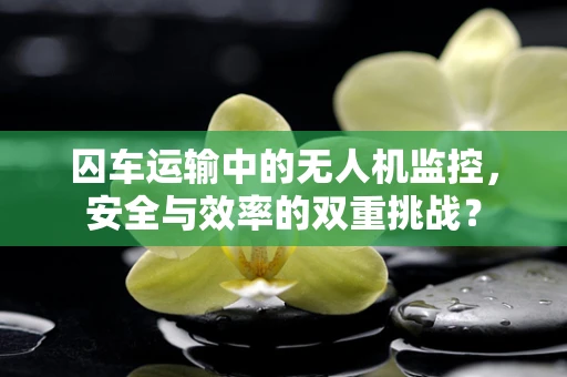 囚车运输中的无人机监控，安全与效率的双重挑战？