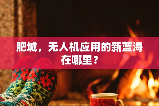肥城，无人机应用的新蓝海在哪里？