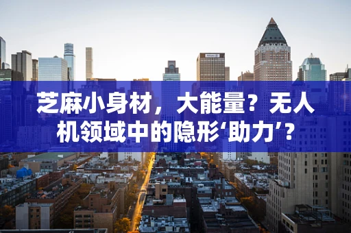芝麻小身材，大能量？无人机领域中的隐形‘助力’？