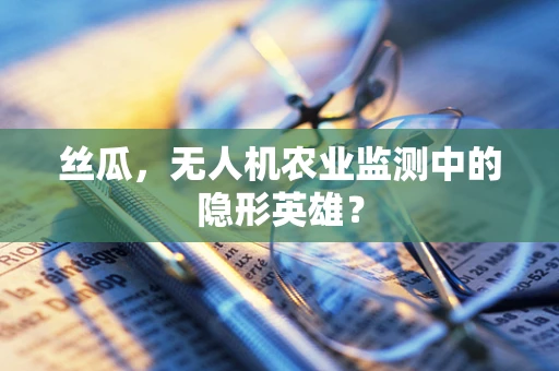丝瓜，无人机农业监测中的隐形英雄？