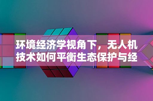 环境经济学视角下，无人机技术如何平衡生态保护与经济发展？